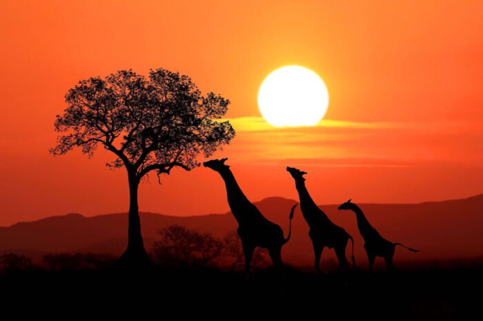 Sudáfrica